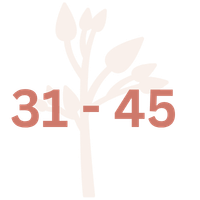 31-45